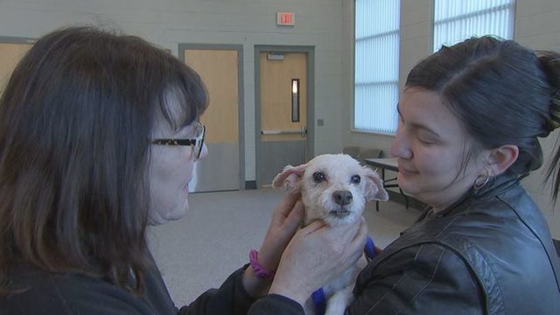 Cheryl Kelly was reunited with her dog, Carl, after the animal had been missing for more than a year.