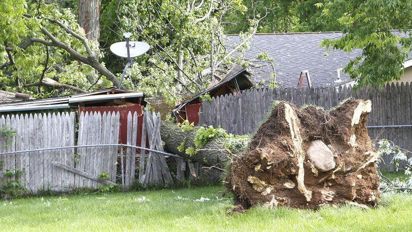 This uprooted tree fell on a shed on Wildview Drive in Huber Heights after heavy thunderstorms blew through the area on Sunday night. TY GREENLEES / STAFF