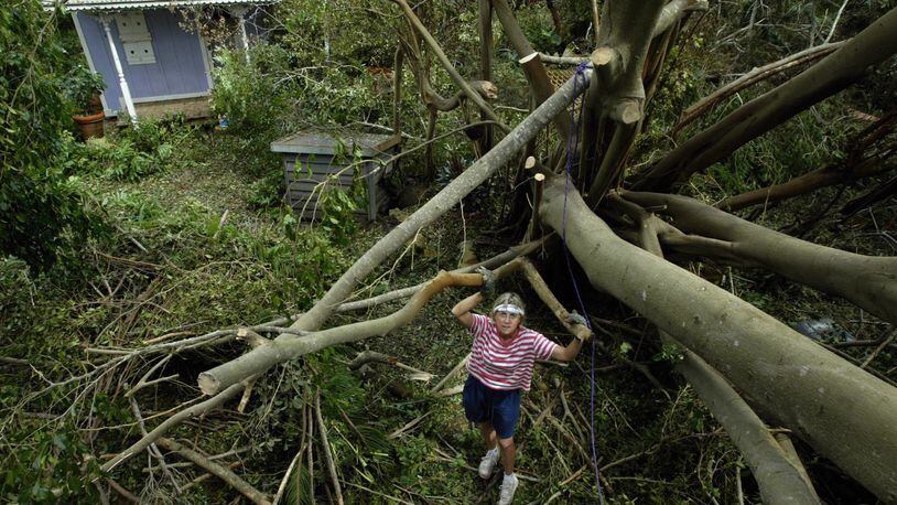 A large ficus tree fell on Nancy Dillard's Sewell's Point home during Hurricane Frances in 2004. (David Spencer/The Post)