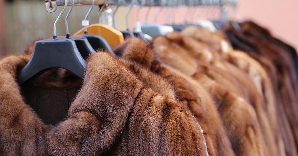 Gucci Bans Fur: 'It's Not Modern