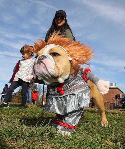 Photos: Dogs put on their HOWLoween best for Barkfest