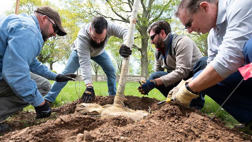 Volunteers plant a Wright Brothers Sugar Maple at the Wright Brothers Memorial on April 30. The event was part of the base’s annual Arbor Day celebration. U.S. AIR FORCE PHOTO/R.J. ORIEZ