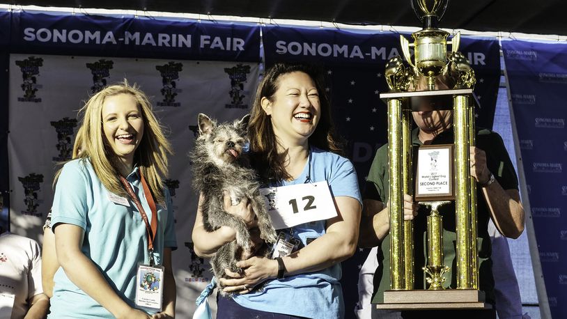 The 2018 World's Ugliest Dog Contest is happening Saturday, June 21st at the Sonoma-Marin Fair.