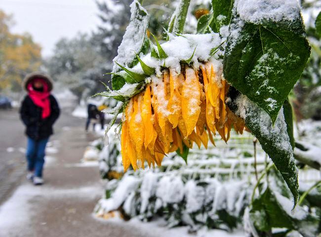 Photos: Early winter? Historic snowstorm blankets Montana, Rockies