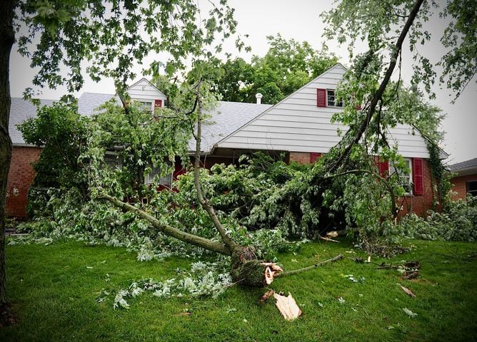 Tree fell due to tornado damage