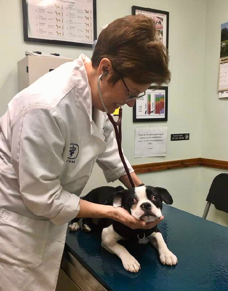 dr  Patricia Haines smiles during her check-up of a very confused dog at the Pony Express Veterinary Hospital in Xenia.