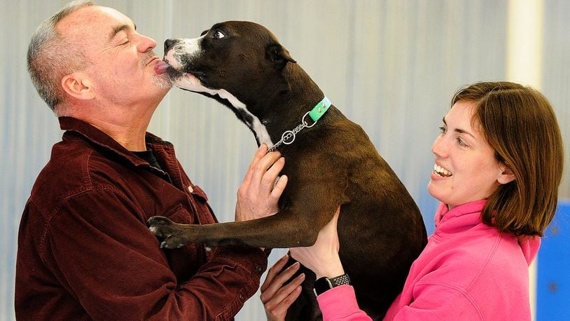 Steve Dunham gets love from Ari, a Pit Bull being held by Sami Clark at Dog Training Personalized in Kettering. MARSHALL GORBY\STAFF
