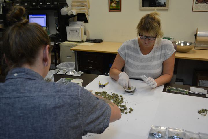 If Washington state is a model, Ohio’s pot sales will boom