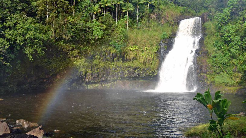 Guests may, with permission, swim in the pond at the base of Kulaniapia Falls, a 120-foot-tall cascade about three miles from Hilo on Hawaii Island. (Catharine Hamm/Los Angeles Times/TNS)