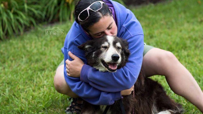 Zipp, Five River MetroPark's former geese-chasing dog, had died, according to Danielle O'Neill,  his owner.