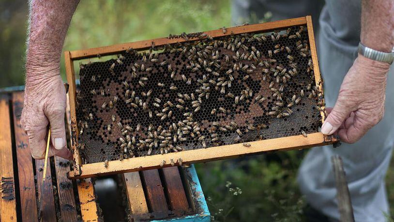 Bees are concerning residents in an upscale Houston neighborhood.