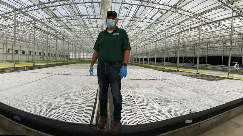 Bright Farms' hydroponic business in Wilmington grows one million pounds of salad greens a year.