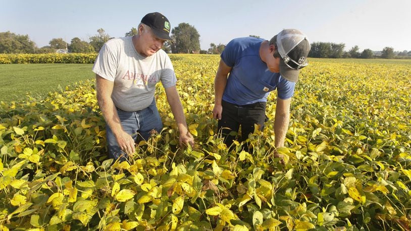 Cropland farmed by Dale Seim and his son Scott in Perry Twp. are among Montgomery County parcels to see values drop an average 24 percent due to statewide changes in a formula used to determine CAUV, or Current Agricultural Use Value. CHRIS STEWART / STAFF