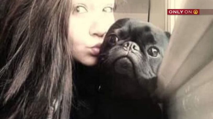 Sarah Harvey said her pug, Winston, ran away weeks ago and was adopted by a new family.