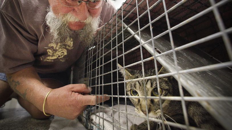 In 2012, Ray Buck of Riverside and his wife Judy brought in a stray female to have spayed through the Humane Society of Greater Dayton's Community Cat Initiative. The Bucks said they have used the catch and release spay/neuter program for about 10 feral cats. After the the procedure, the cats are released back into the community where they were trapped. STAFF PHOTO BY CHRIS STEWART