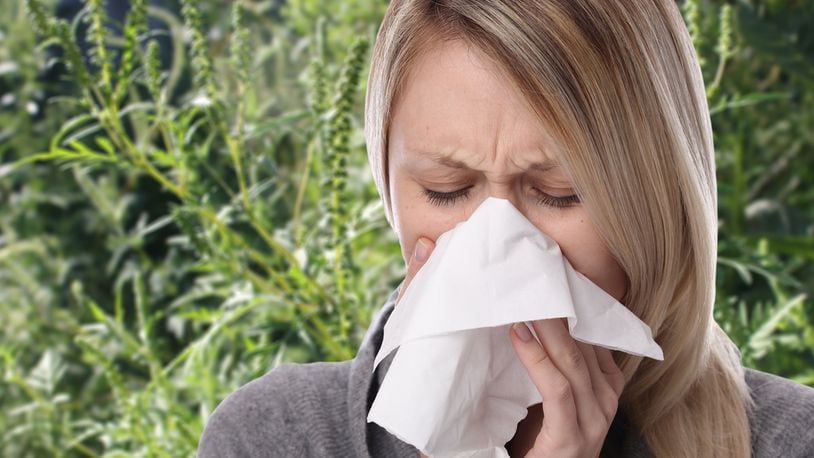 Warmer winters could lead to a sneeze-filled spring. CONTRIBUTED