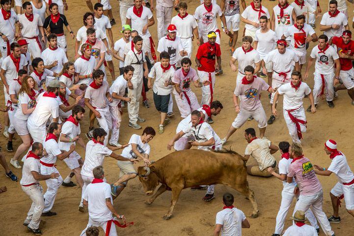 Running of the bulls, 2015