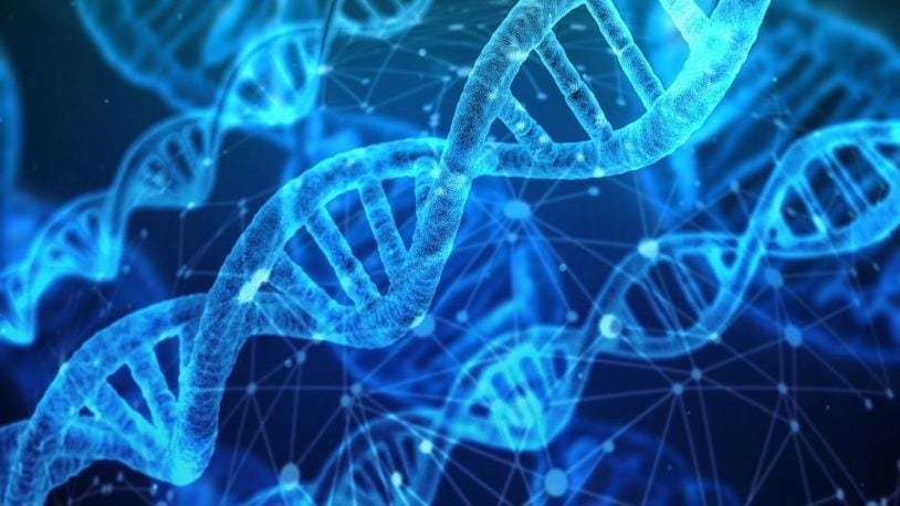 Stock photo of DNA.
