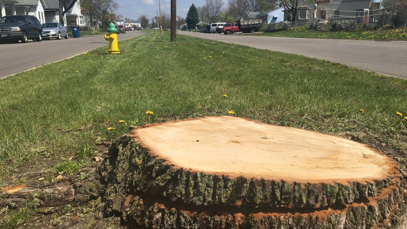 Dayton Power & Light removed about 17 trees from Rita Street, upsetting neighbors who say they were kept in the dark about the project. CORNELIUS FROLIK / STAFF