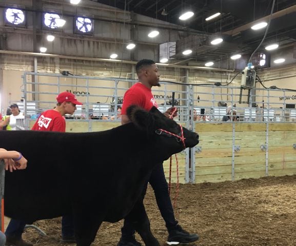 Dean's Charity Steer Show at Ohio State Fair
