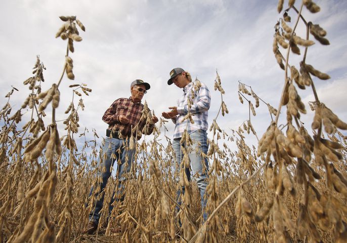 Ohio farmers face tough decisions amid trade war crossfire