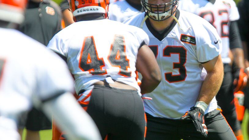 Bengals guard Eric Winston (73) during the first OTA practice of the year, Tuesday, May 24, 2016. GREG LYNCH / STAFF