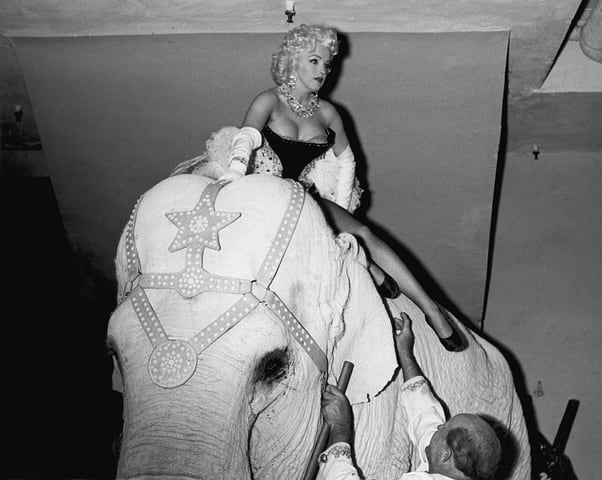 PHOTOS: Under the big top: Ringling Bros. through the years