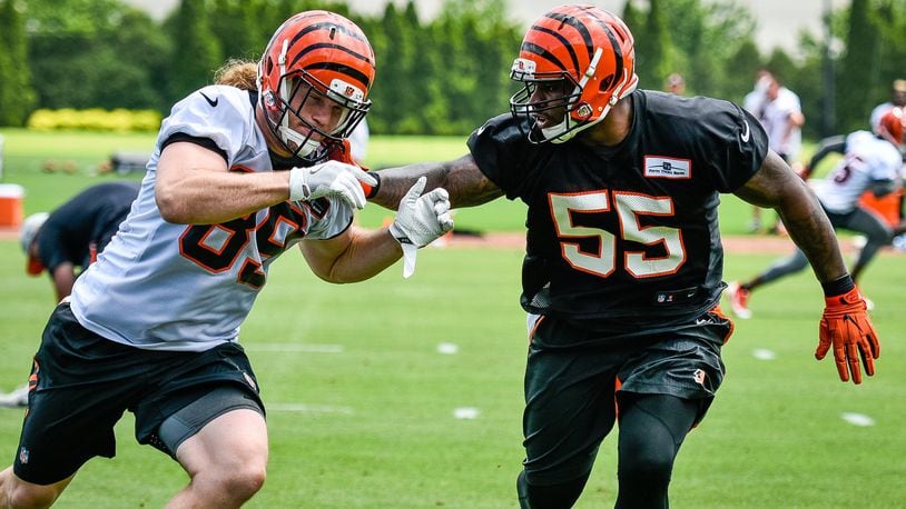 Bengals’ H-back Ryan Hewitt is defended by linebacker Vontaze Burfict (55) during organized team activities Tuesday, May 22, 2018, at the practice facility near Paul Brown Stadium in Cincinnati. NICK GRAHAM/STAFF
