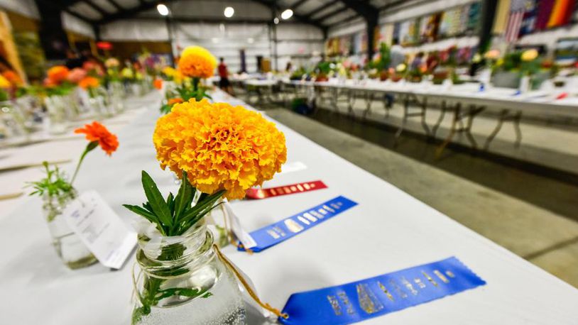 Crafts, photography, flowers and other exhibits fill the Art Hall Wednesday, July 25 at the Butler County Fair in Hamilton. NICK GRAHAM/STAFF