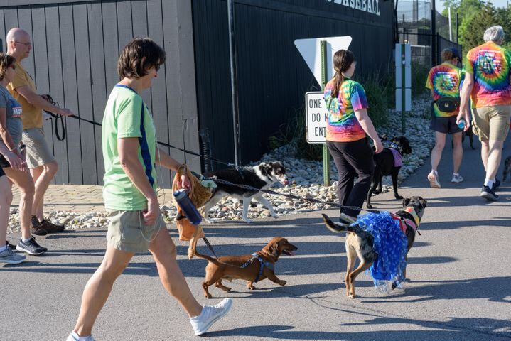 PHOTOS: Did we spot you and your doggie at SICSA’s Lift Your Leg fun run/walk?