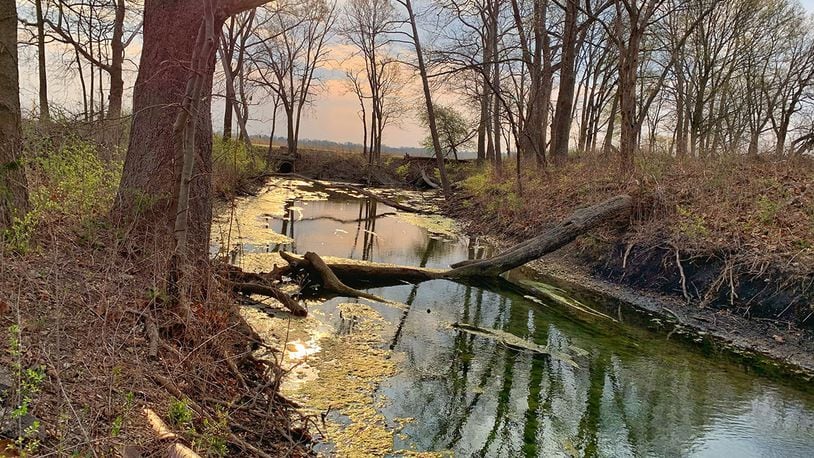 Evening sunlight falls on Trout Creek at Wright-Patterson Air Force Base on April 8. The 88th Civil Engineer Group’s Environmental Management Branch planted native seedlings around the creek for Earth Day in efforts to foster pollinators. CONTRIBUTED PHOTO/DANIELLE TREVINO