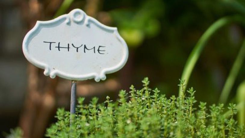 Once Upon a Thyme image