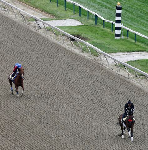 Preakness preview