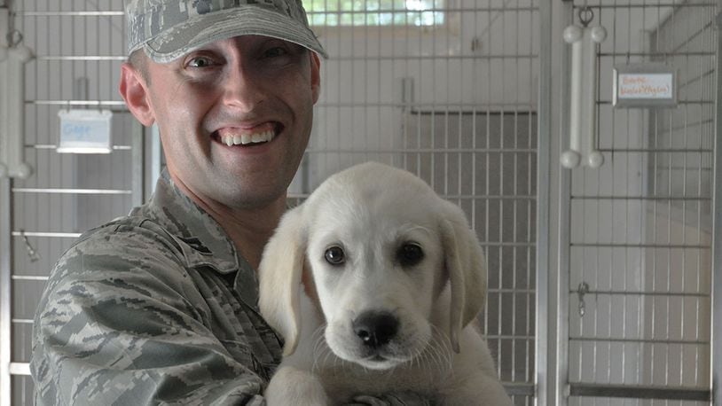 Capt. Robert Cost, an intelligence team chief with the 445th Operations Support Squadron, poses with Hanson, a future service dog, at Circle Tail Inc. in Pleasant Plain, Ohio, Aug. 13. (U.S. Air Force photo/Senior Airman Ethan Spickler)