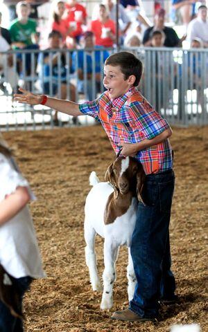 Llamas, goats and kids: 9 wacky images from the Warren County Fair