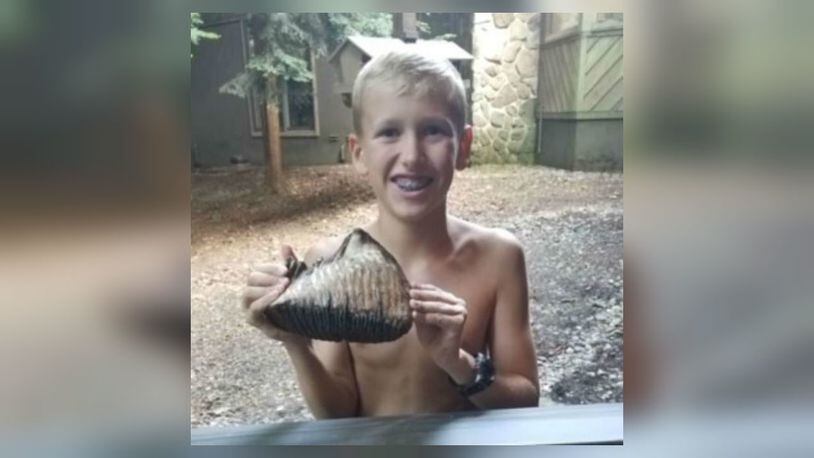 Jackson Hepner was at a family reunion July 26 when he found the partially buried tooth lying out of the water in Honey Run Creek.