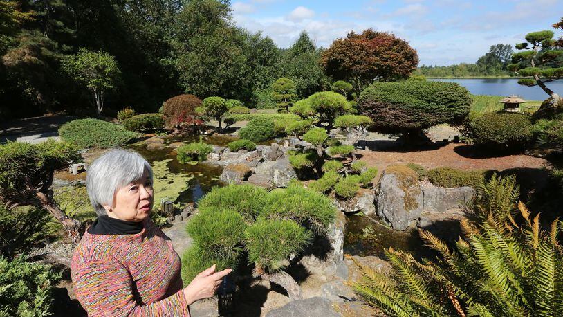 Joan Seko, 80, remembers the tireless work of landscaping and maintaining her family’s traditional Japanese garden on Bellevue’s Phantom Lake. She hopes someone will save the 4-acre property, perhaps for use someday as a conservatory or public park. (Greg Gilbert/The Seattle Times/TNS)