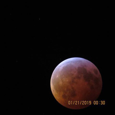 PHOTOS: Super Blood Wolf Moon over Miami Valley