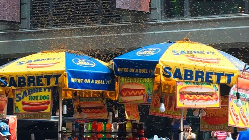 This photo provided by Elizabeth Yannone shows a section of a street in Times Square, cordoned off after being swarmed by bees in New York on Tuesday, Aug. 28, 2018. The swarm of bees caused a brief commotion in Times Square after they made their home atop a hot dog stand. The New York Police Department's beekeepers unit responded to the scene and safely removed the bees.