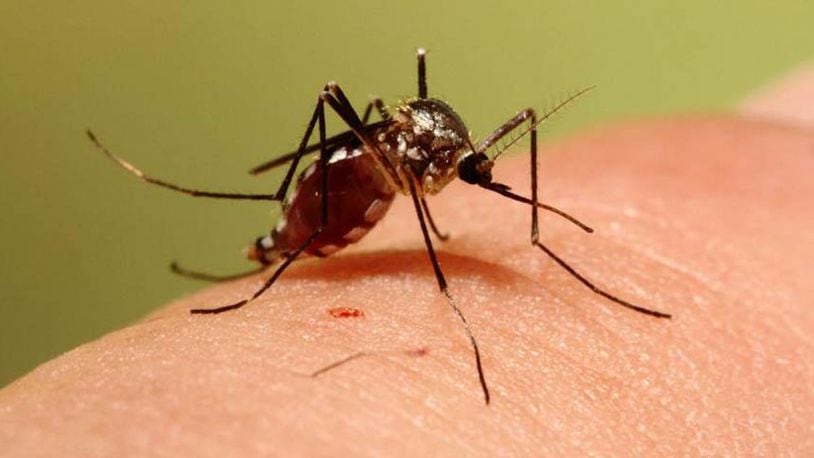 Only a few of the 59 species of mosquitoes in Ohio can transmit disease. However, the diseases these mosquitoes can carry are very serious and include: Eastern equine encephalitis, La Crosse encephalitis, St. Louis encephalitis and West Nile virus. CONTRIBUTED