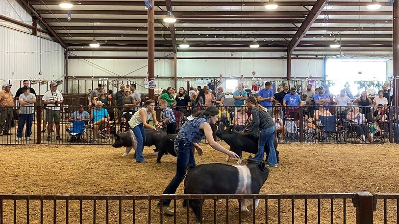 Emma Schnecker, middle, shows her hog, "Magic Mike" Tuesday at the Greene County Fair. Schnecker won the Junior Fair Market Hog competition.
