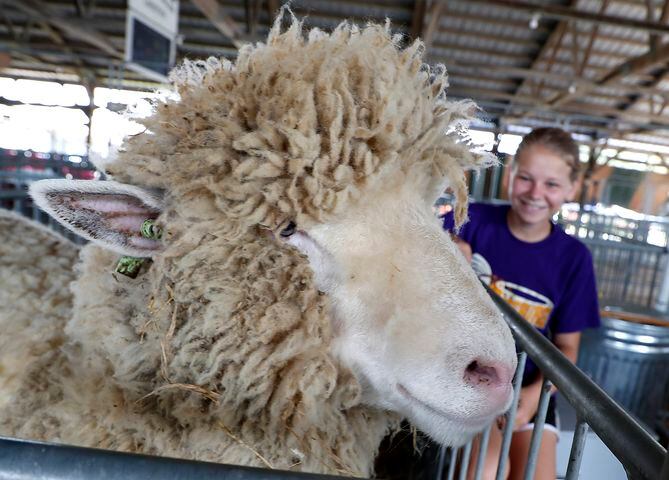 PHOTOS: Animals you will see at Montgomery County Fair
