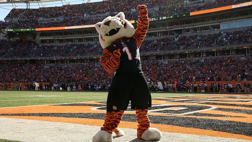 CINCINNATI, OH - OCTOBER 11:  The mascot for the Cincinnati Bengals dances on the sideline during the game between the Cincinnati Bengals and the Seattle Seahawks at Paul Brown Stadium on October 11, 2015 in Cincinnati, Ohio. Cincinnati defeated Seattle 27-24 in overtime. (Photo by Andy Lyons/Getty Images)