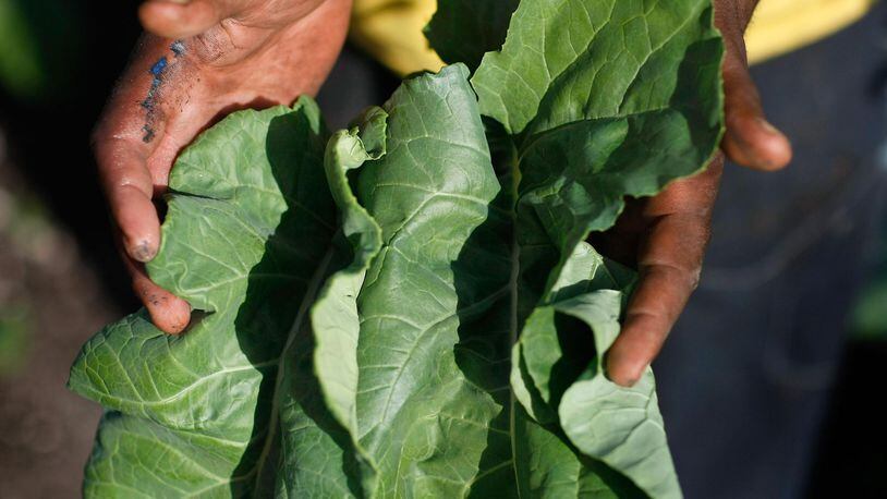 A shortage of collard greens has some Southern chefs concerned.