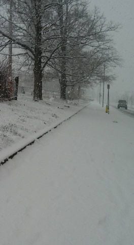 Springfield Snow