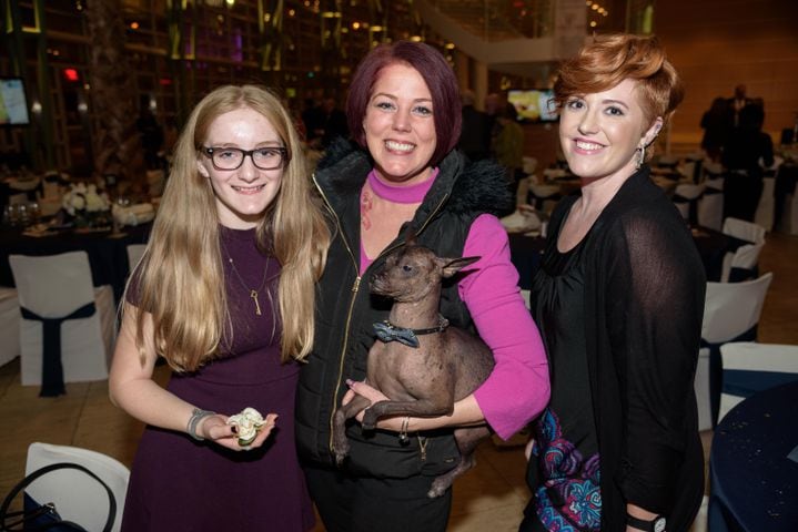 PHOTOS: Did we spot you at the annual Pet Afflaire Gala?