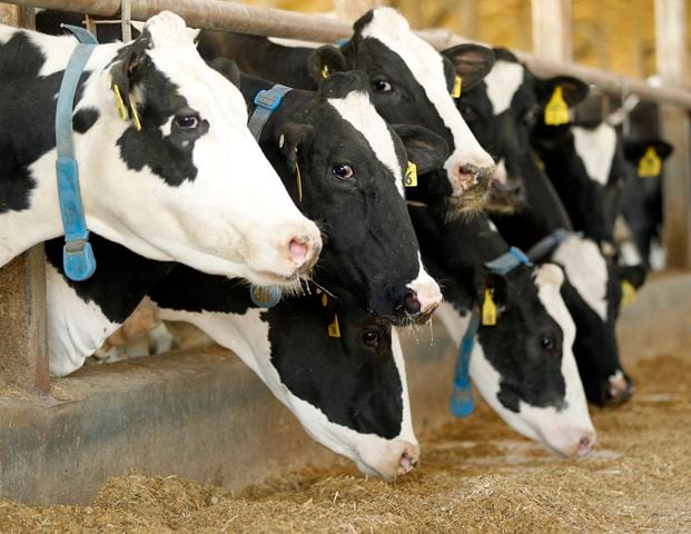 3rd generation dairy farmer concerned about smaller farms