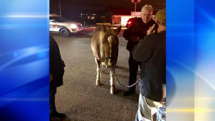 There was no horsing around when it came to a rescue in Bethel Park, Pennsylvania.