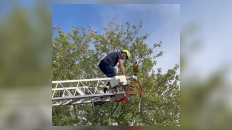 A Huber Heights firefighter helped get a 48-year-old rescued macaw down from a tree. Photo courtesy Huber Heights Fire Division.