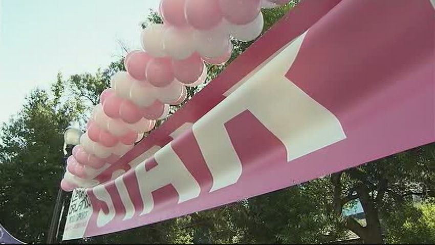 Making Strides Against Breast Cancer 2013